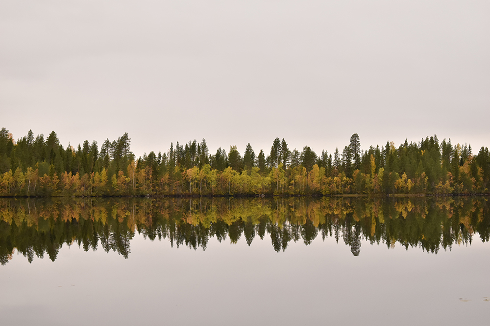 フィンランドの湖と森